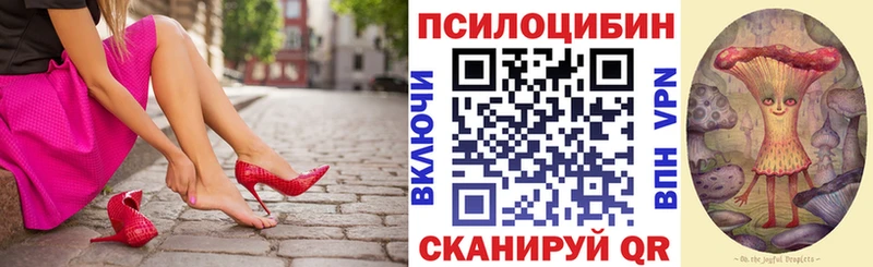 Галлюциногенные грибы Psilocybine cubensis  Вольск 