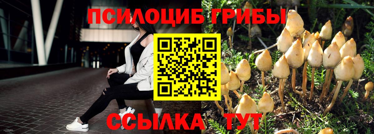 Галлюциногенные грибы Psilocybine cubensis Вольск