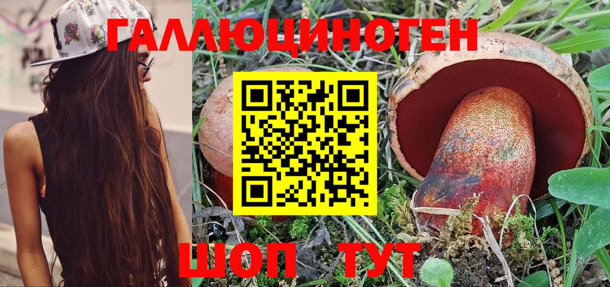 Галлюциногенные грибы MAGIC MUSHROOMS  Галлюциногенные грибы Psilocybe  Вход с VPN  Вольск 